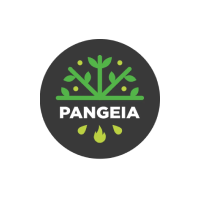 Pangeia