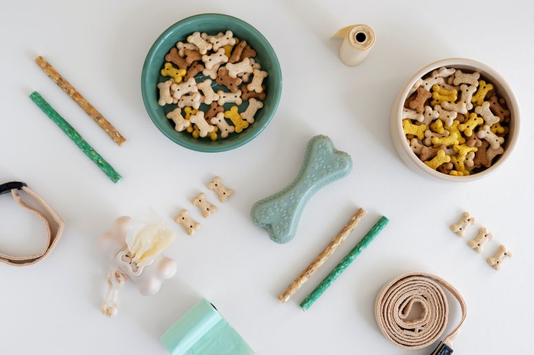 A imagem mostra diversos acessórios para pets