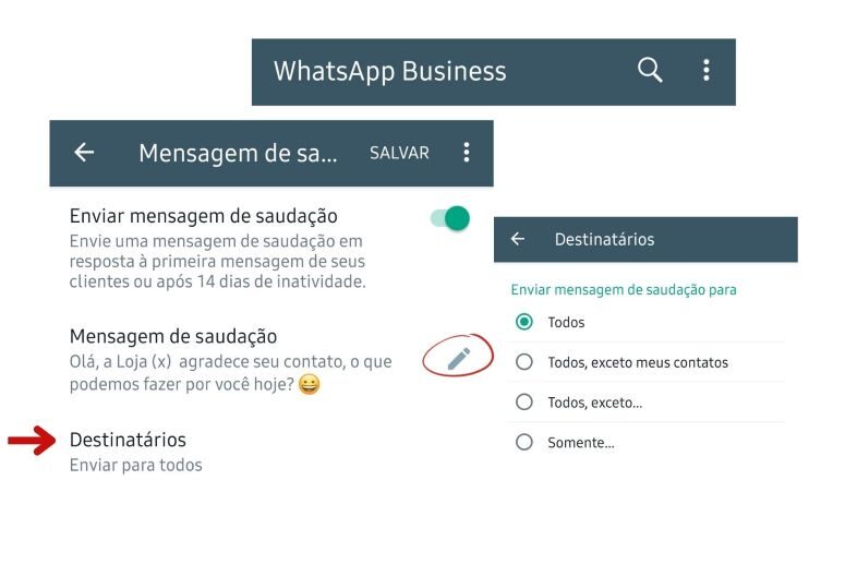 Mensagem automática no Whatsapp - mensagem de saudação