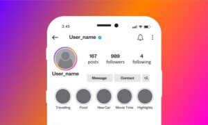 A imagem mostra uma bio do Instagram com as cores da marca