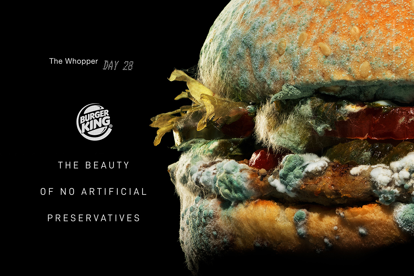 Burger King e a "Moldy Whopper"