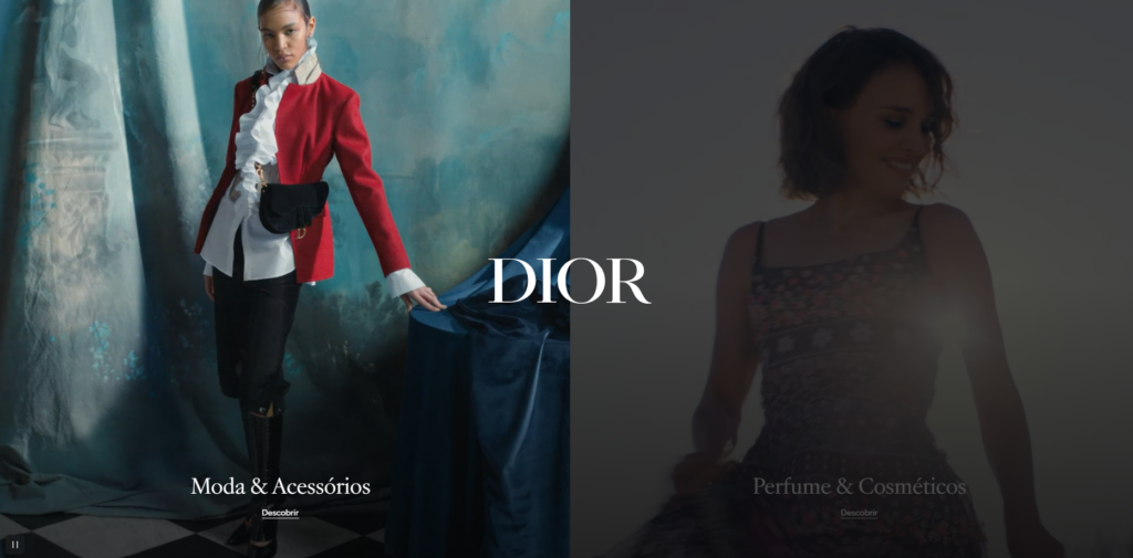 A imagem mostra um print do site Dior