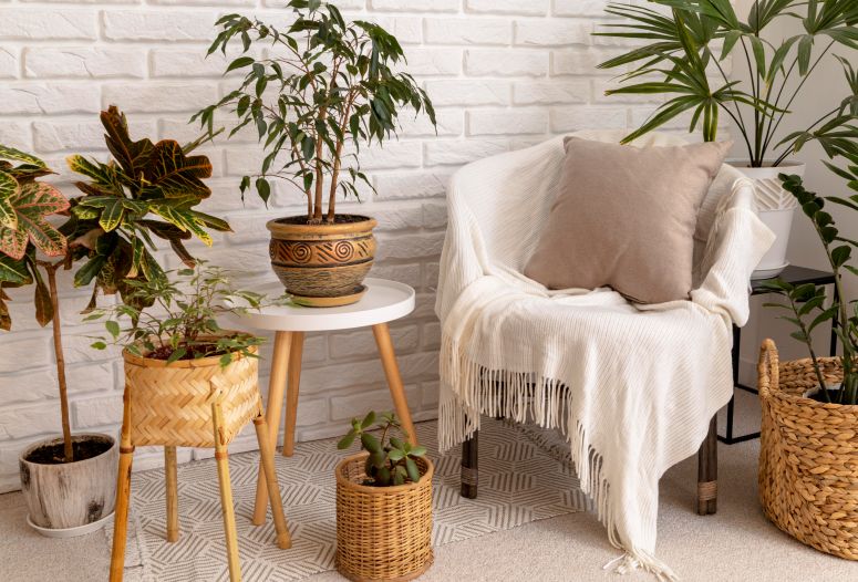 A imagem mostra uma decoração de casa com muitas plantas e amadeirado.