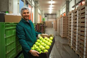 fornecedor de alimentos