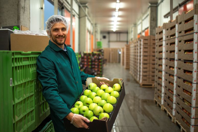 fornecedor de alimentos